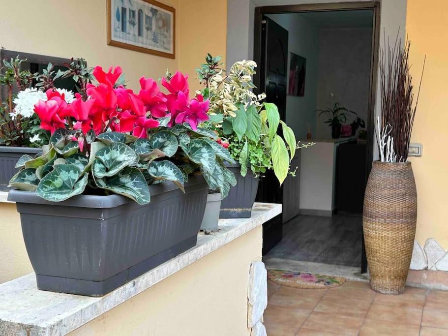 Domus Acquedotto Apartment Roma Ngoại thất bức ảnh