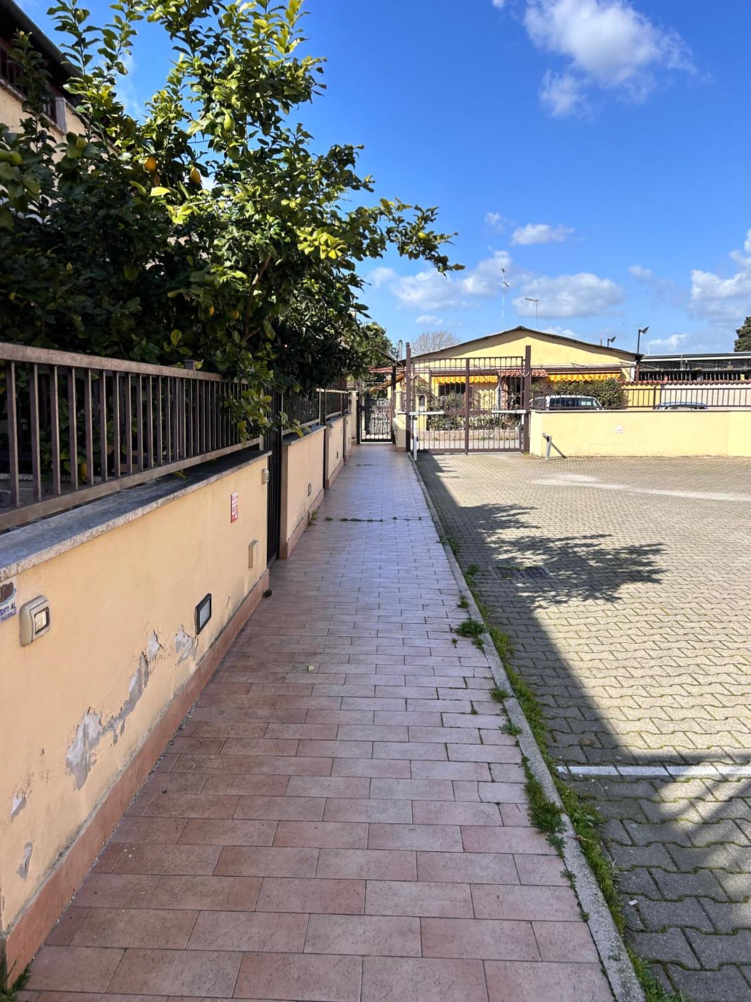 Domus Acquedotto Apartment Roma Ngoại thất bức ảnh